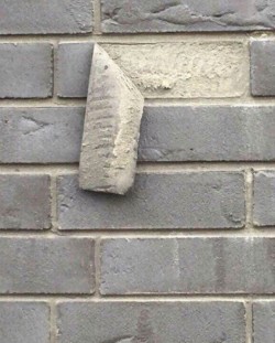 This is why I have trust issues