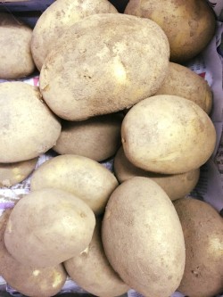 Did you know: Potatoes have more potassium than a banana (21% of recommended daily intake), more ...