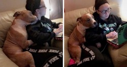 Woman Adopts A Pitbull, And The Dog Can’t Stop Hugging Her | Bored Panda