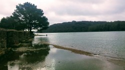 High tide at the creek this morning, Boomer did an Aysun, “Where did all the water come fr ...