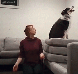 Trust exercise