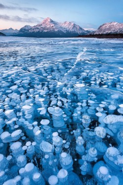 Frozen methane bubbles