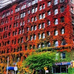 This hotel in Canada actually changes color with the seasons!﻿