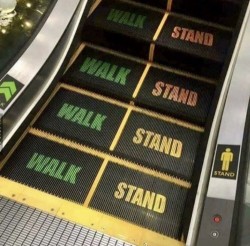 Every escalator needs this