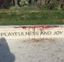 Its all playfulness and joy until ……