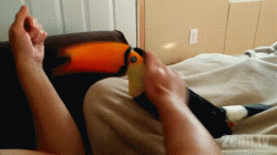 Toucan play that game