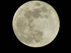 T’was a full moon last night and I wanted to try out my new camera at full zoom!