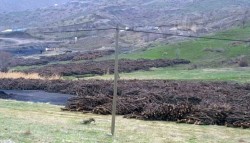 Thousands of fruit trees destroyed over ‘security concerns’ in SE Turkey – Tur ...