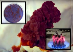 13 Most Mind-Blowing Chemical Reactions