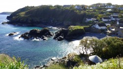 Cadgwith cove