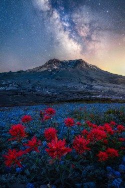 Millions of stars shine bright above Mount St Helens on a clear summer night