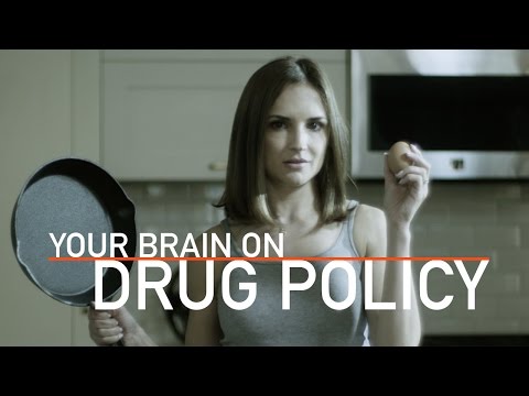 Your Brain On Drug Policy | Rachael Leigh Cook (2017) – YouTube