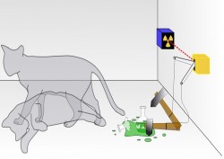 Physicists ‘Breed’ Schrödinger’s Cat to Discover Limits of the Quantum World