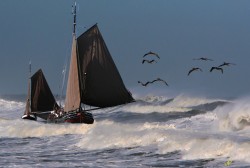 Storm sailing