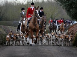 Theresa May announces she wants to bring back fox hunting | The Independent