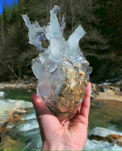 I found my ex-wifes heart