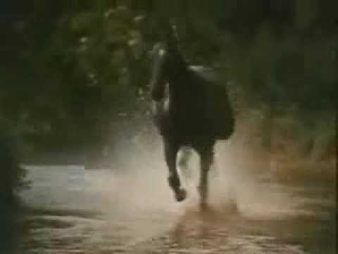Black Beauty Theme (Galloping Home) – Denis King 1972 – YouTube