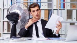 Brexit wanker invokes EU guidelines over office temperatures