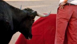 Killing matadors isn’t cruel it’s part of our culture, claim Spanish bulls