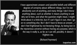 The magnificent Mr Feynman