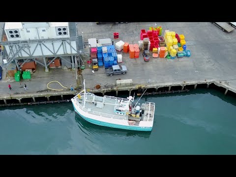 Newlyn Harbour, Cornwall – Mavic Pro Drone, Time-lapse and Wildlife – YouTube