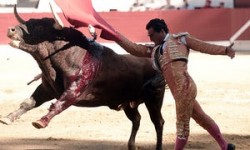 Spanish matador dies after being gored during bullfight | World news | The Guardian