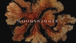 WoodSwimmer on Vimeo