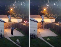 Disturbing Video Shows Cop Shooting Family’s Dogs In Fenced Backyard | HuffPost