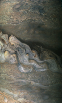 This image was captured by the Juno spacecraft during Perijove 6 at an altitude of 8901.1 km on  ...