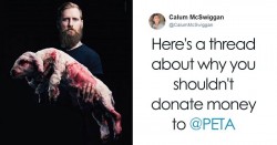 Guy Brutally Roasts PETA On Twitter, And People Are Finally Realizing The Truth | Bored Panda