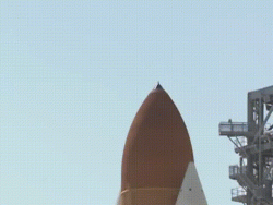 Poor bird hits space shuttle and gets BBQ’d :(