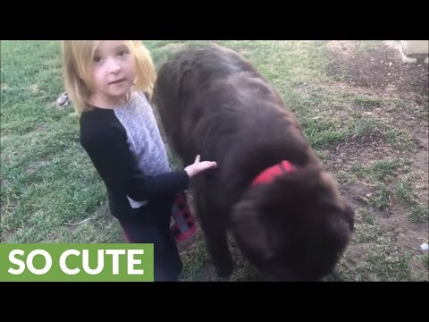 Little girl defends her dog after mom’s accusations – YouTube