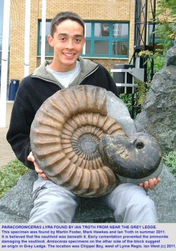 Thats a huge ammonite