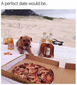 Yep, need more dogs but yep.