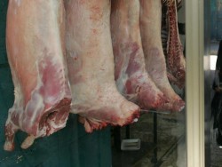 Denmark bans kosher and halal slaughter as minister says ‘animal rights come before religion’ |  ...