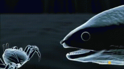 Aliens are real and theyve been here for ages