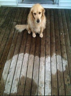 Somebody fell asleep in the rain