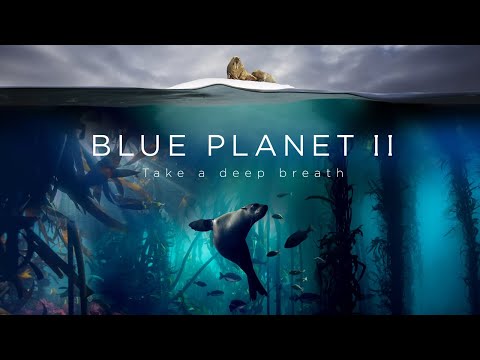 Blue Planet II : The Prequel – YouTube