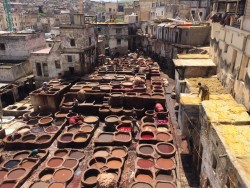 Leather tannery in Fez, Morocco