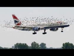 If it were not FILMED, no one would BELIEVE IT | Videos you will not believe – YouTube