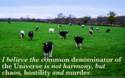 Werner Herzog Motivational Posters are the Best Thing on the Internet