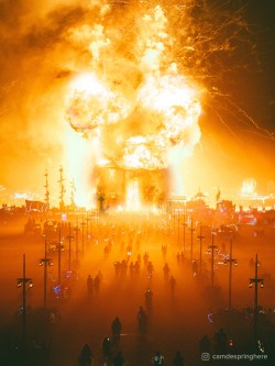 Burning man 2017