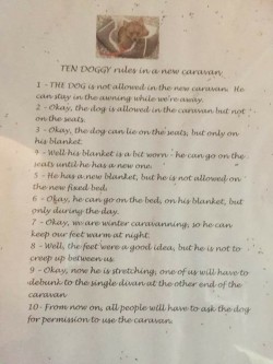 Dog rules for the caravan
