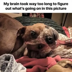 .