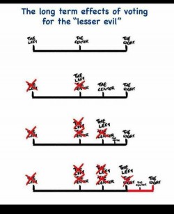 The long term effects of voting for the “lesser evil”
