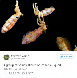 This Twitter Account Is Renaming Everyday Objects And They’re More Accurate Than The Real Ones | ...