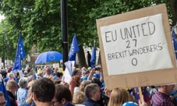 Only a second referendum can pull us out of the Brexit fire | Geraint Davies | Opinion | The Gua ...