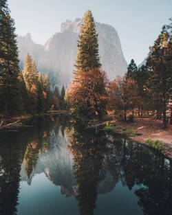 Morning light in Yosemite