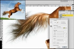 10 Useful Photoshop Image Extraction Tutorials – Creative CanCreative Can