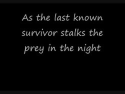 Eye of the tiger -Lyrics- – YouTube